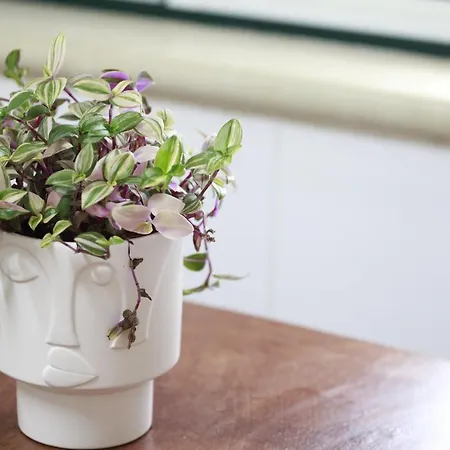 Casa de Férias Casa Do Shon Óbidos